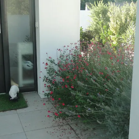Bed & Breakfast Cote Foret *